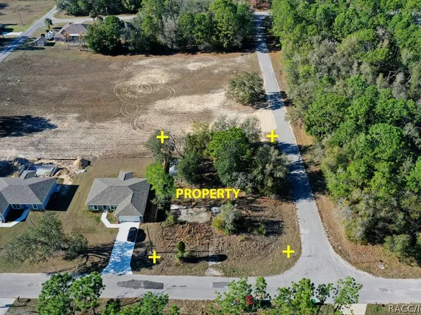 941 W Cadima Pl, Citrus Springs, FL 34434