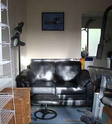 watch tv while exercising
