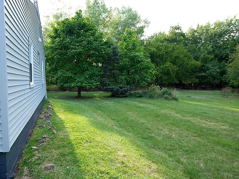 View of Backyard, 2nd view