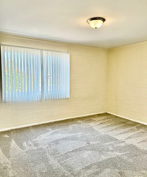 11801 N Coggins Dr — Photo 16