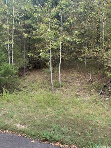 12 Alcazaba Way, Hot Springs Village, AR, 71909