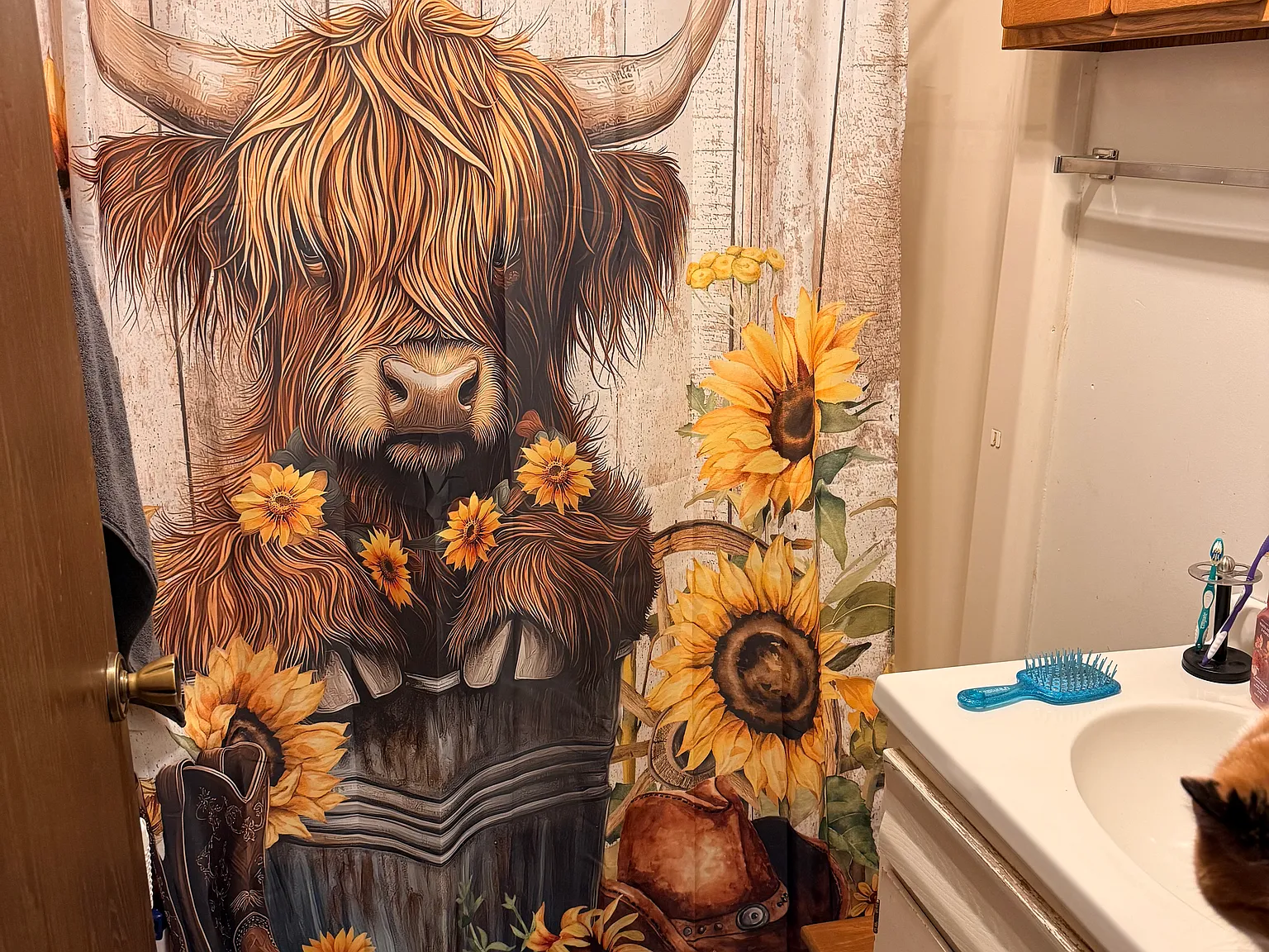 1 bed, $1,100 — Photo 4