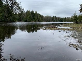 436 Seeley Rd, Stratford, NY 13470