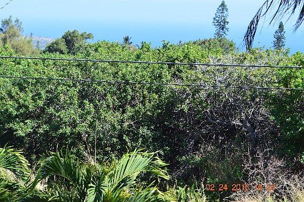 1st image of Kane Pl Lot 271