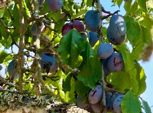 1012 River Rd, Sequim, WA 98382