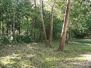 3rd image of 11611 Gwynford Ln