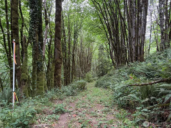 0 P#61828 Brussat, Kelso, WA 98626