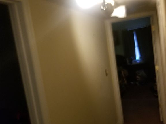 3rd image of 706 Glendale Dr APT M