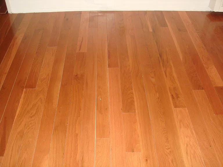3 Bay St #225 — Photo 2