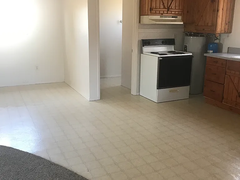 1350 S Gone Fishin Rd — Photo 4
