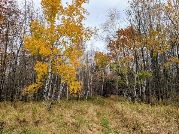 E North 20 School Rd, Glen Flora, WI 54526