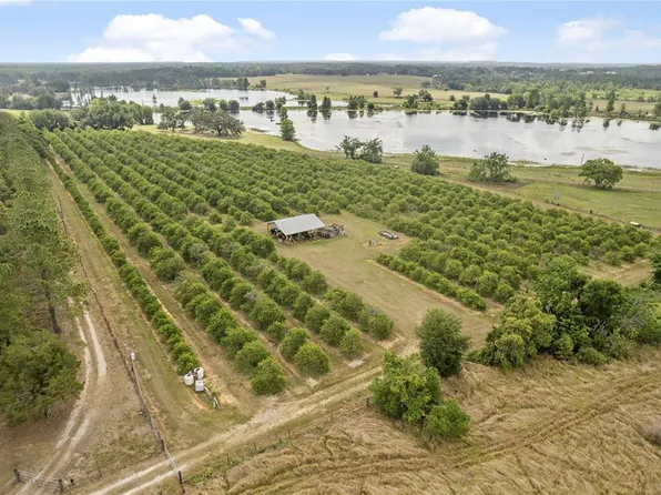 0 Barry Rd, Dade City, FL 33523