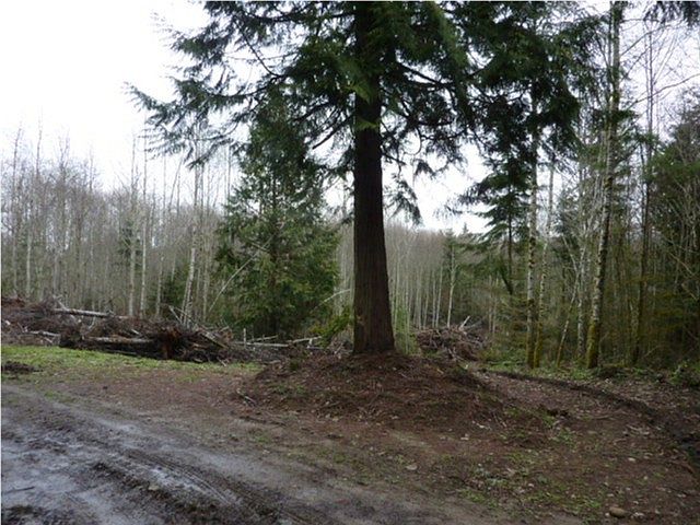 1st image of 24 4x Ne Plunkett Lane