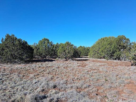 5th image of 1294 Geronimo Dr