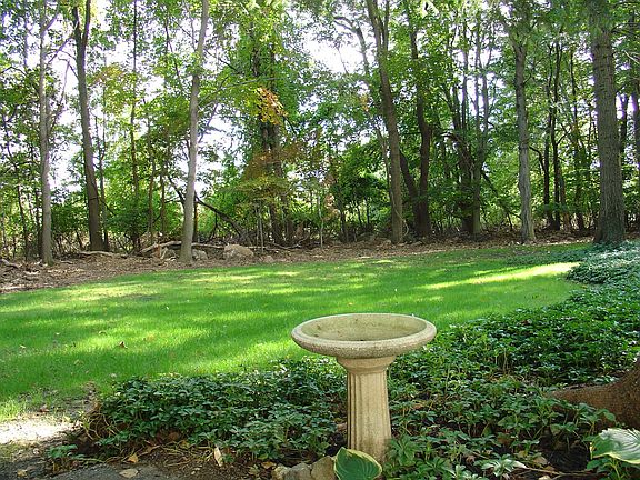 Private Back Yard
