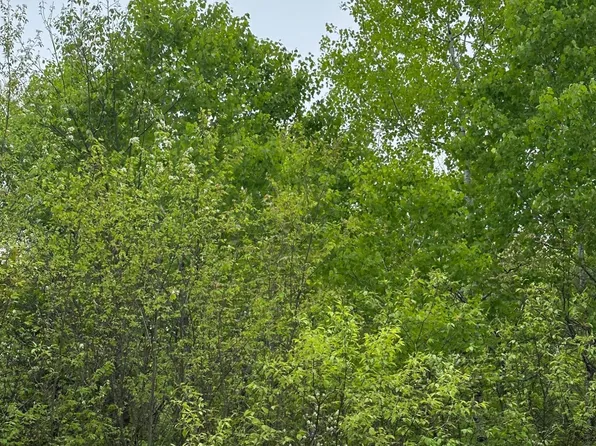 Kelly Dam Rd Lot 10, Tomahawk, WI 54487