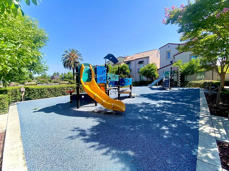 559 Palo Verde Cmns — Photo 5