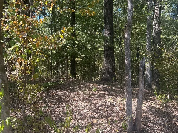394 Denmon Rd, Sarepta, LA 71071
