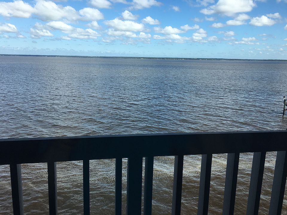 Watch dolphins, fish, osprey
