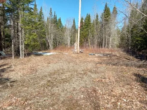 Lot 85 Woodland Ridge Road, Danforth, ME 04424