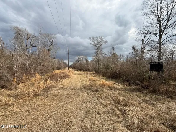 2600 Martin Tram Rd, Reeves, LA 70658