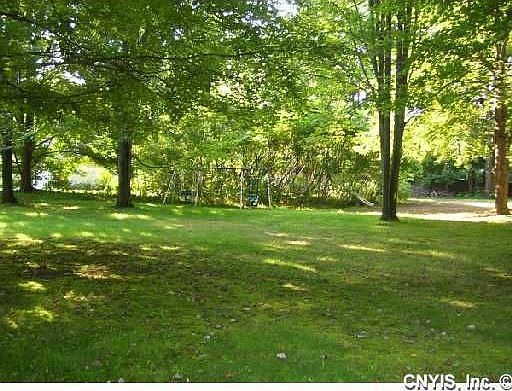 back yard  double lot