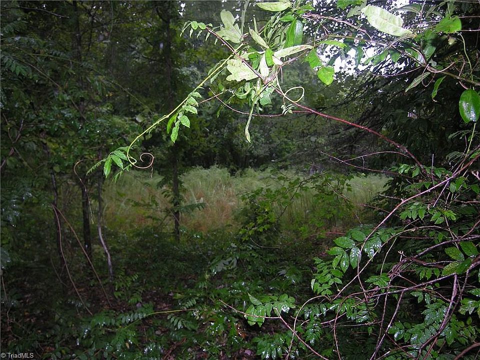 2nd image of 4725 Camp Betty Hastings Rd