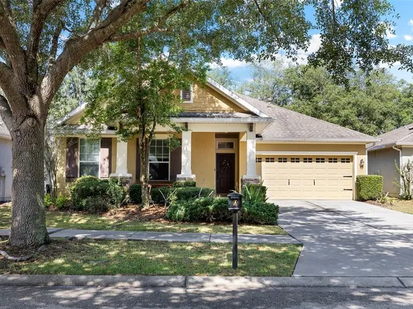 15841 Starling Water Dr, Lithia, FL 33547