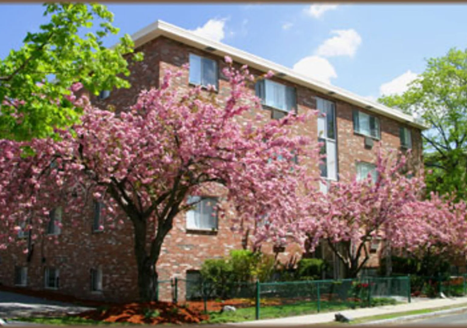 Available 09/01/2026 | 2 Bed / 1 Bath | Pet Friendly | Parking Available for Rent | Heat & Hot Wa... — Photo 3