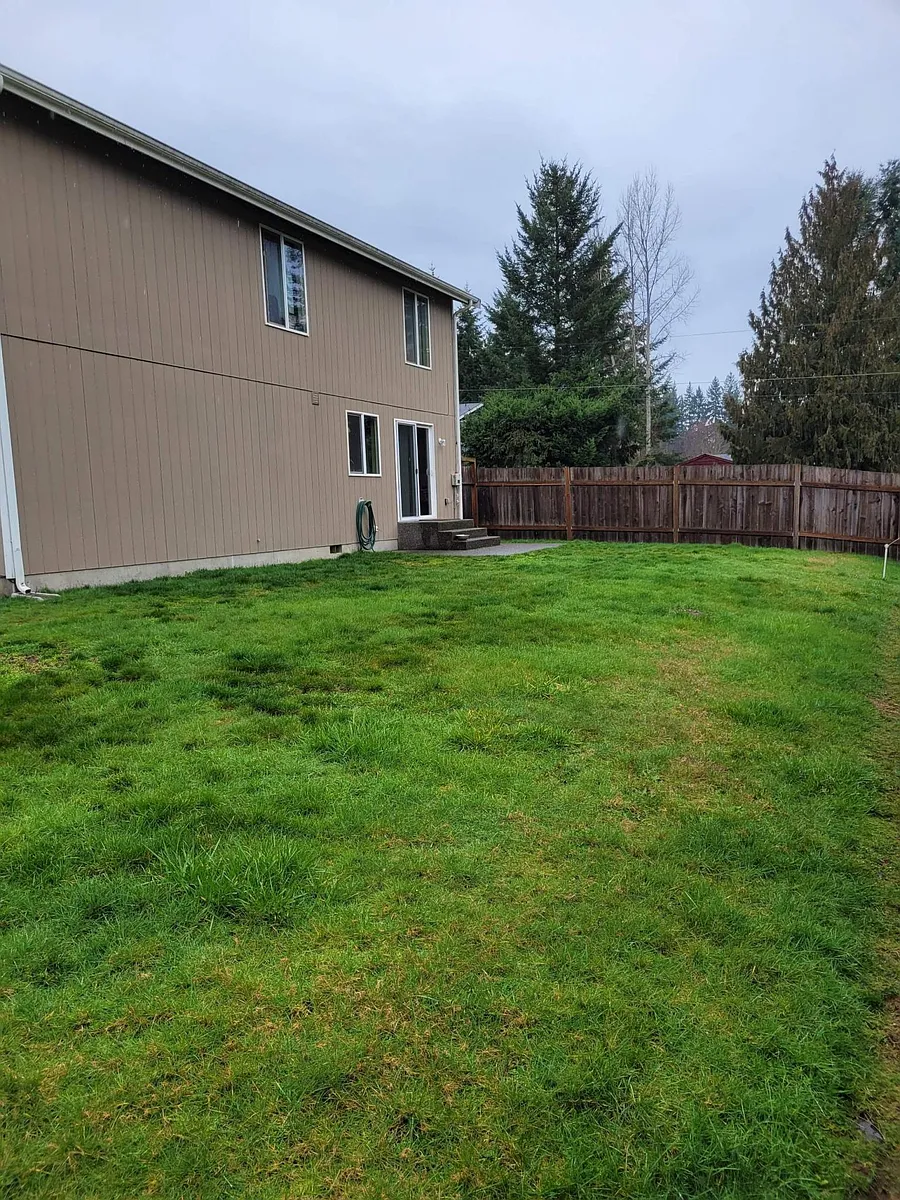back yard - 12921 Ridgewood Dr E
