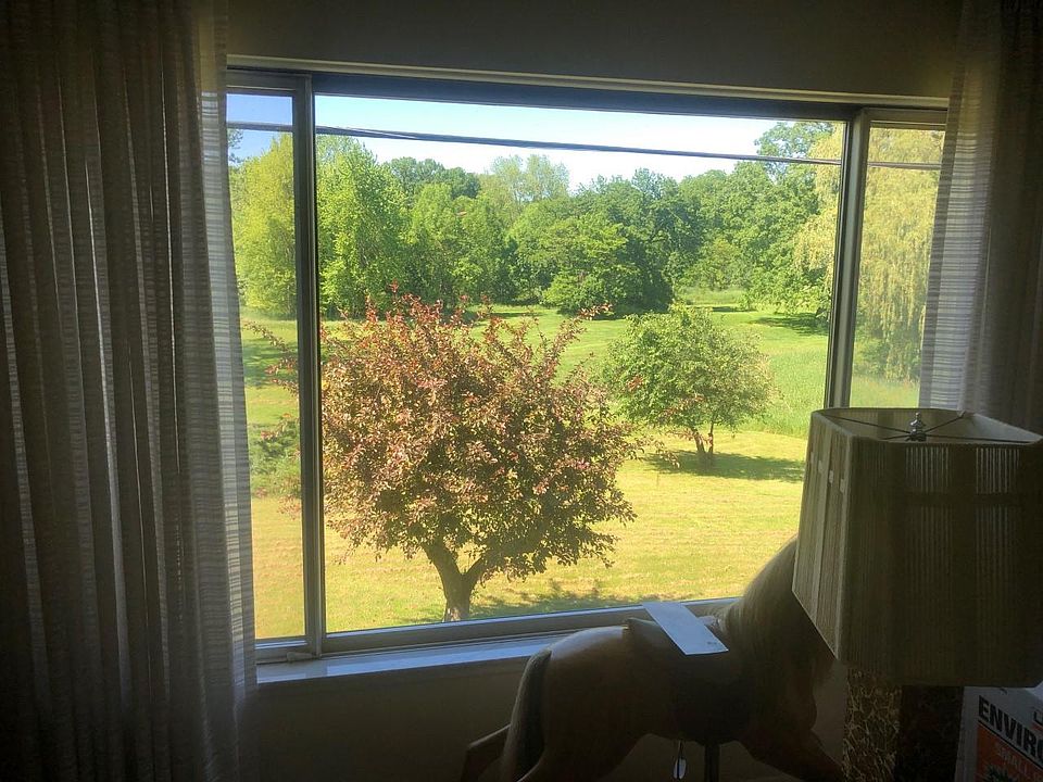 View from the living room, facing north