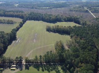 0 Peele Rd, Saint George, SC 29477