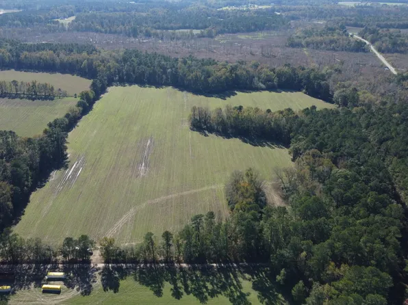 0 Peele Rd, Saint George, SC 29477