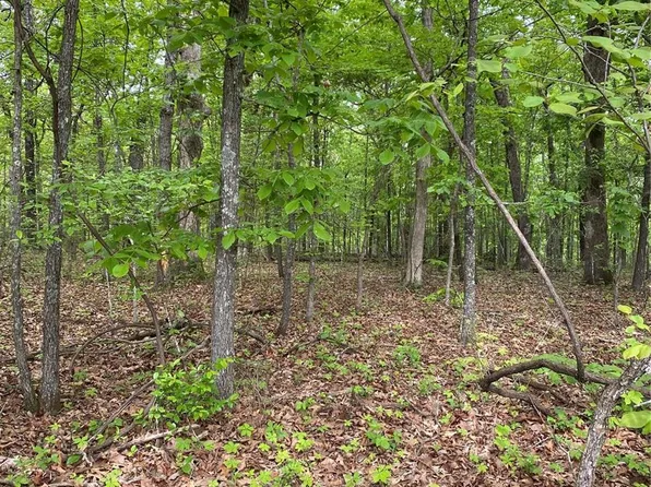 0 Hawksbill Dr, Dixon, MO 65459