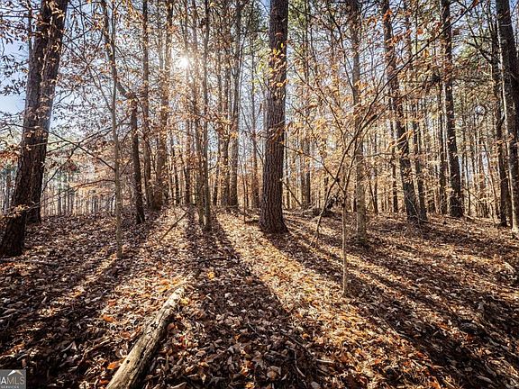 5th image of 1001 Overlook Ter