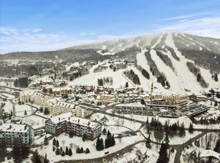 759 Stratton Mountain Access Rd #431, South Londonderry, VT 05155