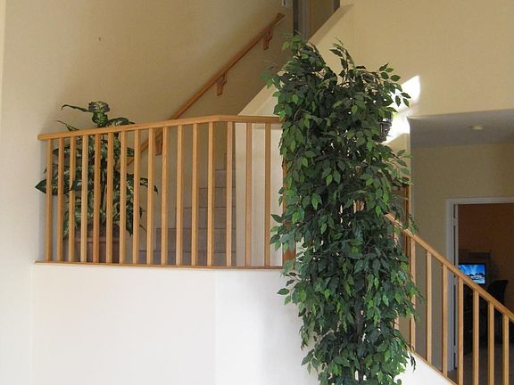 3rd image of 25439 N Hackberry Dr