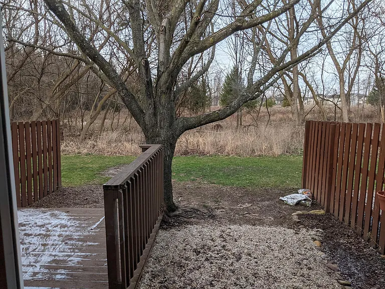 1187 The Grv — Photo 7