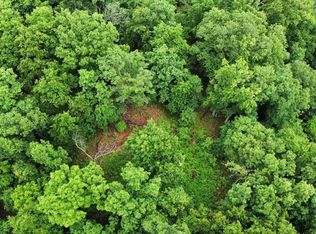0 Little Cat Fork Rd, Louisa, KY 41230