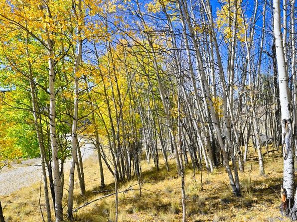 57 Flint Court, Jefferson, CO 80456