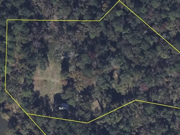 164 Griffith Dr, Fort Gaines, GA 39851