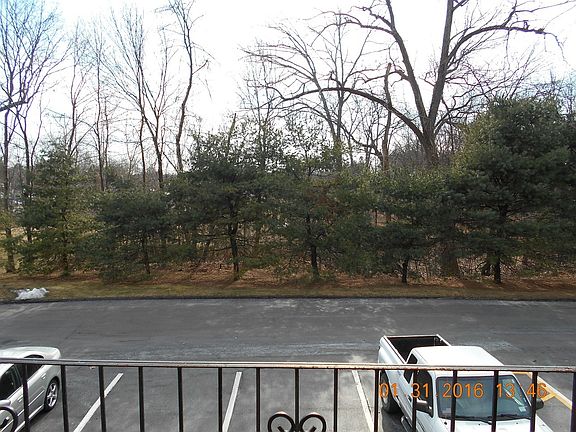 view from deck