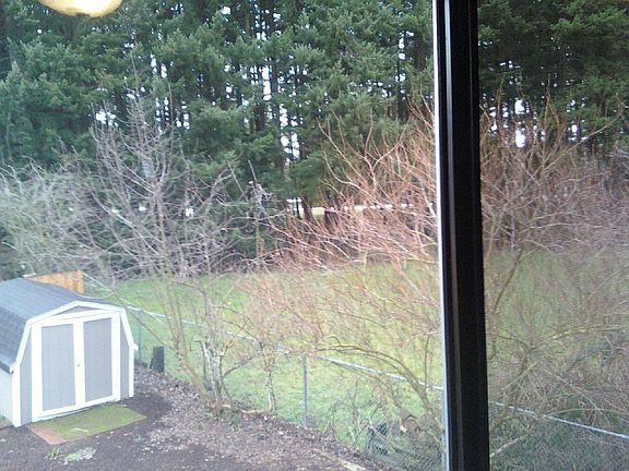 back yard is next to greed space 