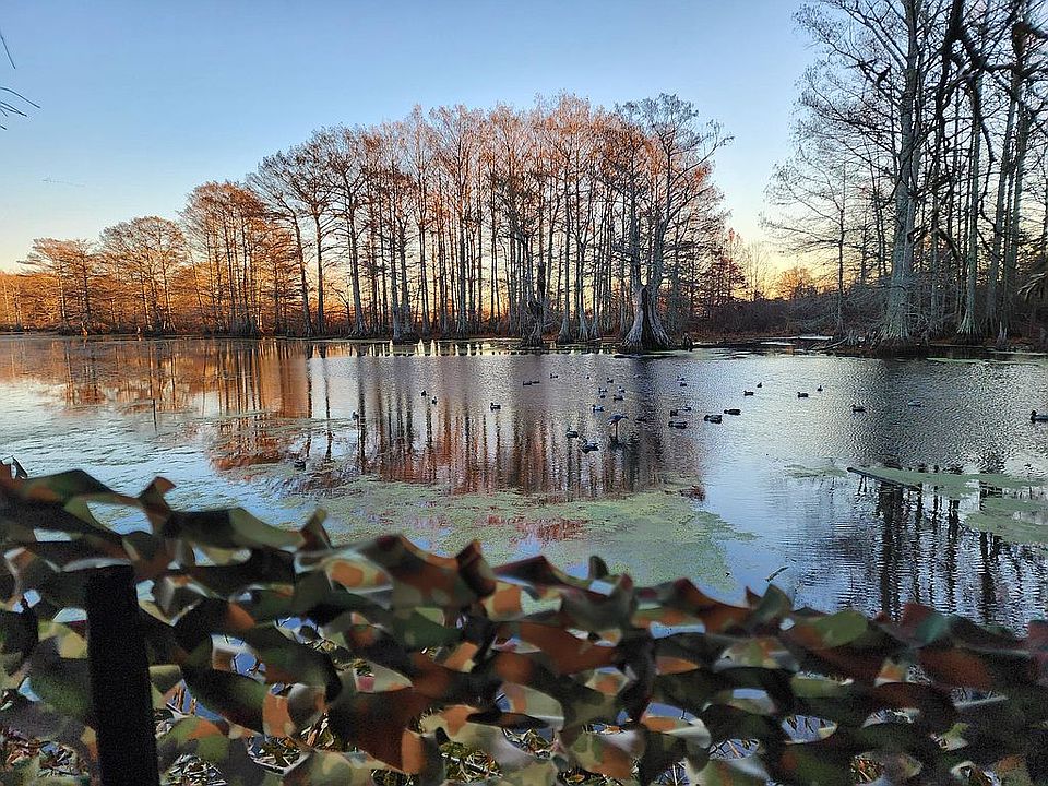 0 Shaw Rd, Sledge, MS 38670 Zillow