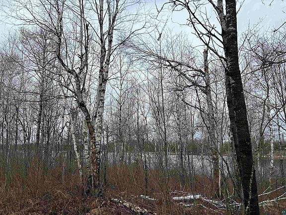 5th image of 2493 S Branch Tr Lot 2