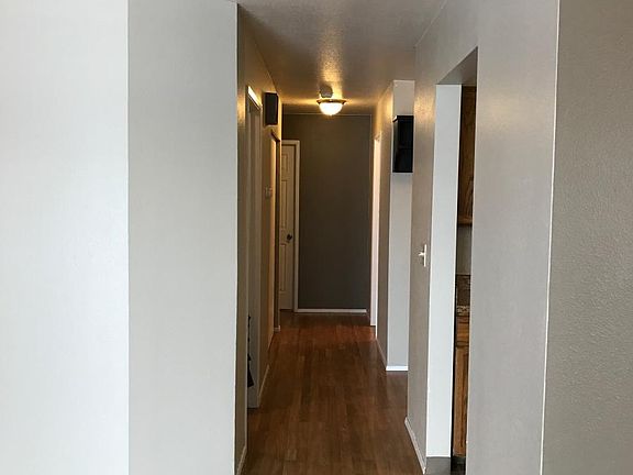 Hallway from Living Room to bedrooms and entrance.