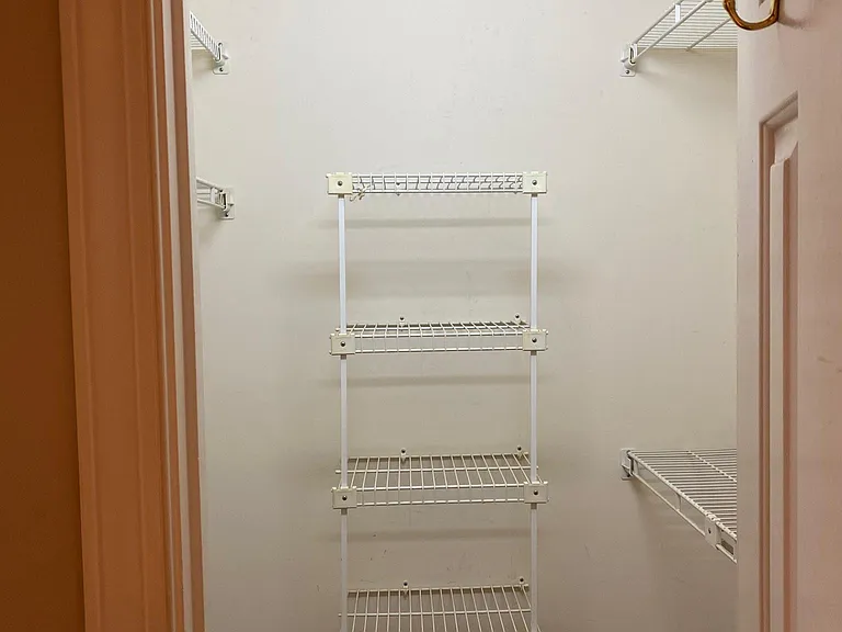 Master BR Walk-in Closet