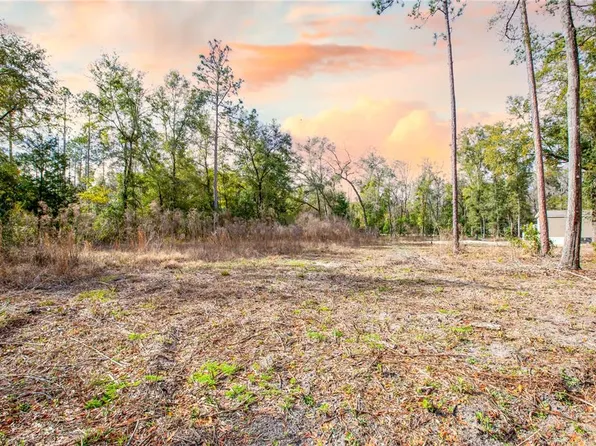 SW Newark Dr Lot 21, Fort White, FL 32038