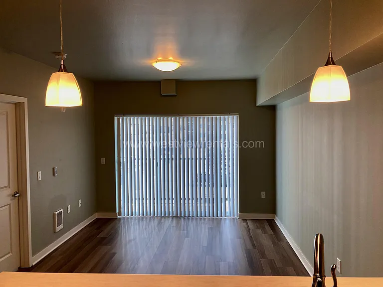 203 E Laurel St — Photo 131