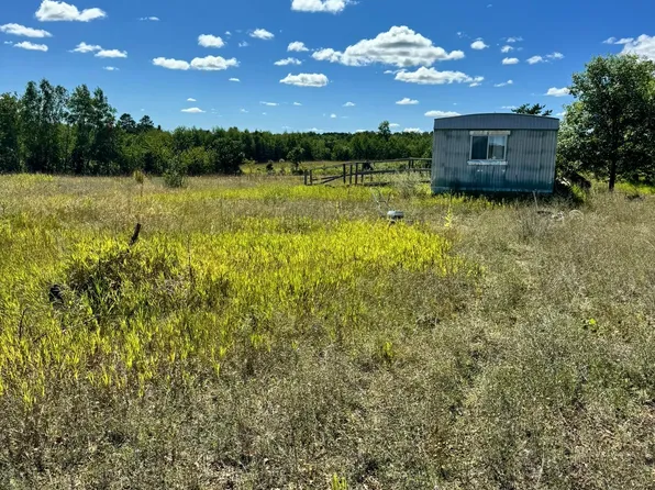 22315 Daisy Rd, Nevis, MN 56467